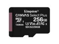 Kingston Canvas Select Plus microSDXC 256GB SDCS2/256GBSP